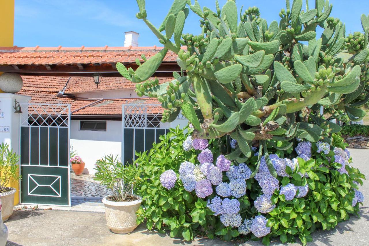 Quinta De Vale Escuro Hotel Lousa  Exterior photo